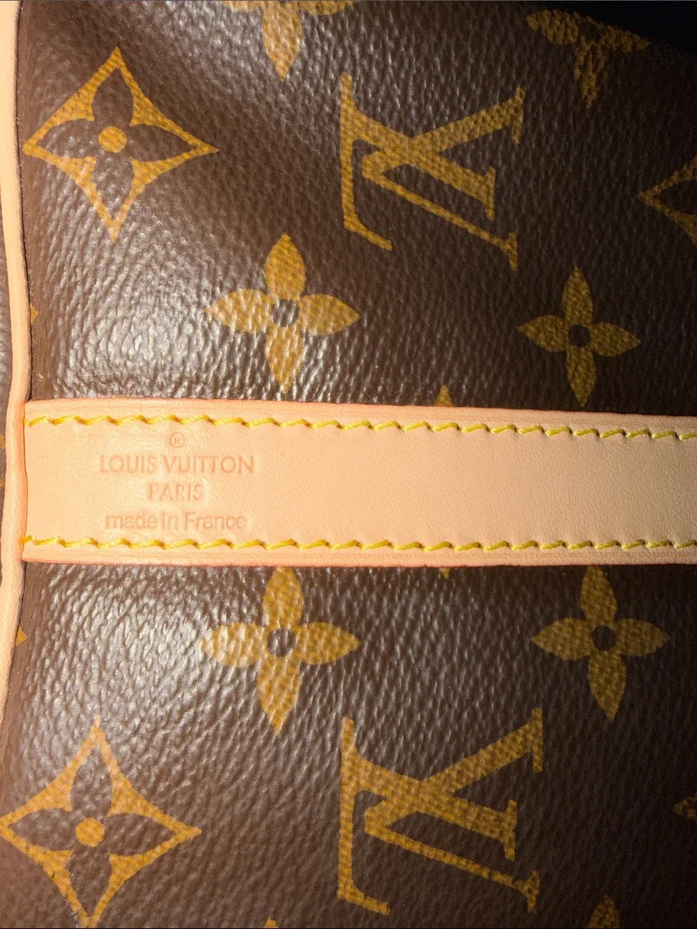 Louis Vuitton Speedy Bandouliere 25 bag
